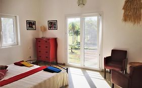 Residencia De Coco, Kuenstlerhaus In Piribebuy,