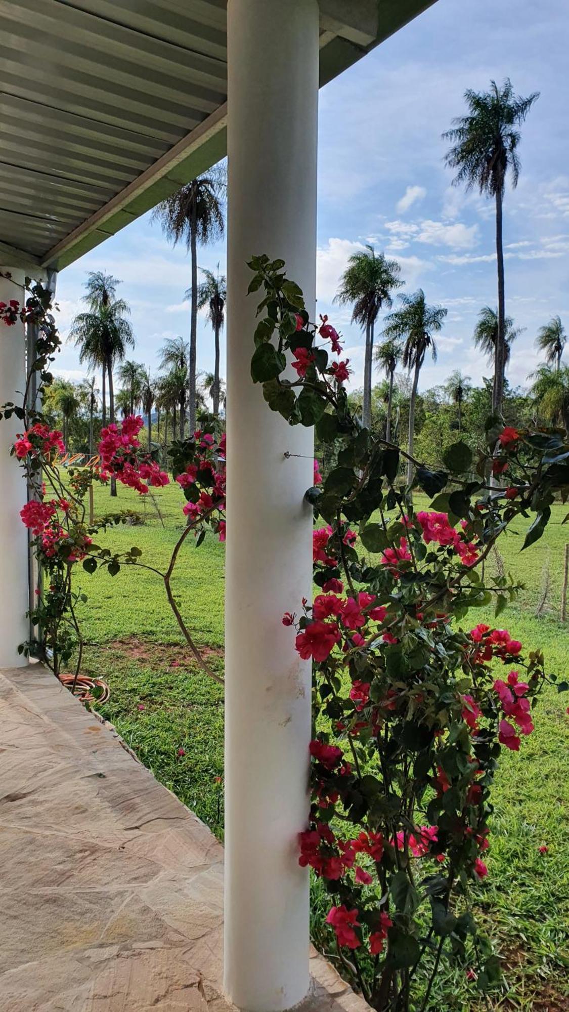 Villa Residencia De Coco, Kunstlerhaus In Piribebuy, Exterior foto